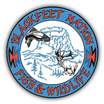 Blackfeet Nation Fish & Wildlife logo