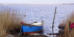 fishing-header-1.jpg Image